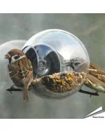 Birdfeeder voederbol van Born in Sweden aan het raam