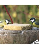 Ben je een vogelliefhebber en op zoek naar een gezonde en lekkere traktatie voor je gevogelde vrienden? Kijk dan niet verder! Onze vegetarische vetblokken zijn gemaakt van plantaardig vet en pinda's, waardoor je vogels een voedzame/lekkere snack krijgen