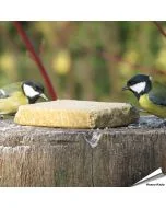 Ben je een vogelliefhebber en op zoek naar een gezonde en lekkere traktatie voor je gevogelde vrienden? Kijk dan niet verder! Onze vegetarische vetblokken zijn gemaakt van plantaardig vet en pinda's, waardoor je vogels een voedzame/lekkere snack krijgen