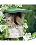 Natuurlijke berken nestkast voor roodborstjes, kwikstaarten en winterkoninkjes ✔️ Een veilige broedplek in de tuin ➤ Vogelhuisje.com