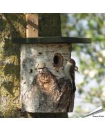 Natuurlijke berken nestkast met 32 mm invliegopening voor mezen en andere holenbroeders. Perfecte nestplek voor tuinvogels in de tuin ➤ Vogelhuisje.com