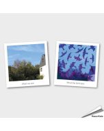 Voorkom vogelaanvaringen met Birdstickers ✔️ Transparant, effectief & duurzaam ✔️ Eenvoudig aan te brengen ➤ Bestel op Vogelhuisje.com