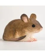 DecoAnimal Muis van Wildlife Garden, een bruin houten muizenbeeld met grote ronde oren, zwarte glanzende ogen, roze neus, witte buik en lange staart.