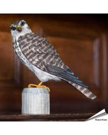 Houtgesneden vogel in de vorm van een Smelleken is een mooie decoratie waar het hele gezin dol op zal zijn ✔️ Levensecht vorm- en kleur gegeven model ➤ Koop nu online bij Vogelhuisje.com