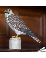 Houtgesneden vogel in de vorm van een Smelleken is een mooie decoratie waar het hele gezin dol op zal zijn ✔️ Levensecht vorm- en kleur gegeven model ➤ Koop nu online bij Vogelhuisje.com