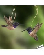 Houtgesneden DecoBirds | Zwartkinkolibries | Wildlife Garden