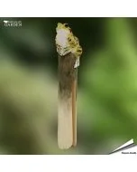DecoClip - Kikker van Wildlife Garden. Handgesneden houten wasknijper met groen-geel kikkerfiguur en opvallende ogen. Ca. 22 x 26 x 105 mm.
