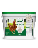 Diatomeeënaarde voor kippen en pluimvee is een 100% natuurlijk product ✔️ Geschikt voor stal, tuin en erf ✔️ Neemt vocht effectief op ✔️ Zorgt voor een prettig stalklimaat ✔️ Nu verkrijgbaar bij Vogelhuisje.com