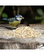 Hoogwaardig, onkruidvrij vogelvoer van Aniculis speciaal voor kleine vogelsoorten ✔️ Met zonnebloempitten, pinda’s en insecten traktaties ✔️ Rijk aan energie en eiwitten ➤ Bestel online op Vogelhuisje.com