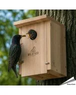 Nestkast voor de spreeuw en grote bonte specht ✔️ Onbehandeld massief hout ✔️ Geschikt voor grote holenbroeders ✔️ Weerbestendig ➤ Koop nu bij Vogelhuisje.com
