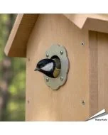 Bescherm je nestkast tegen uithakken met ons invliegplaatje (rozet) ✔️ Verkleint de invliegopening op 32mm ✔️ Gemaakt van roestvrij staal ✔️ Geschikt voor koolmezen en andere tuinvogels ✔️ Bestel nu op Vogelhuisje.com