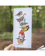 Vrolijke kerstkaart met kleurrijke, bekende tuinvogels ✔️ Gedrukt op FSC-gecertificeerd papier ✔️ Inclusief kraft envelop ➤ Bestel nu bij Hoezo-Kado