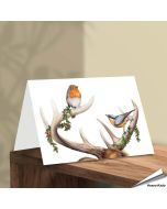 Kerstkaart met een leuke Roodborst, Boomklever en gewei - www.vogelhuisje.com