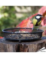 Eenvoudig tuinvogels voeren ✔️ Compacte metalen voedertafel ✔️ Licht schoon te maken ✔️ Voor balkon of tuin ✔️ Bestel online bij Vogelhuisje.com