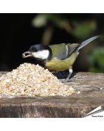 Mix voor kleine vogels - No Mess (2 kg)