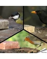 MIXPack - Energieblokken bessen, insecten en meelwormen (12 x 280g)