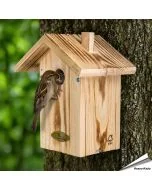 Nestkast Anson voor tuinvogels ✔️ Invliegopening 34mm voor mussen en boomklever ✔️ Aanbevolen door Vogelbescherming Nederland ✔️ FSC 100% hout ➤ Koop nu bij Vogelhuisje.com