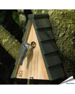 Nestkast Aspen 28mm ✔️ Aanbevolen door Vogelbescherming NL ✔️ Geschikt voor pimpelmees, kuifmees, glanskop en zwarte mees ✔️ FSC-hout ➤ Bestel bij Vogelhuisje.com
