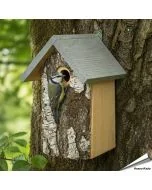 Berken nestkast met natuurlijke uitstraling ✔️ Bootst een natuurlijke boomholte na ✔️ Ideaal voor tuinvogels zoals de pimpelmees ➤ Ontdek meer bij Vogelhuisje.com
