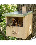 Nestkast voor roodborstjes: help deze vogels een nestje te bouwen! Vogelhuisje.com
