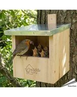 Nestkast voor roodborstjes: help deze vogels een nestje te bouwen! Vogelhuisje.com