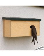 Speciale nestkast voor de gierzwaluw ✔️ Ovale invliegopening (60 x 30 mm) ✔️ FSC-gecertificeerd hout ✔️ Eenvoudig te plaatsen en reinigen ✔️ Koop bij Vogelhuisje.com