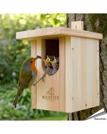 Houten nestkast voor de roodborst ✔️ Onbehandeld hout ✔️ Halfopen nestkast ✔️ Sterke houtverbindingen ➤ Bestel op www.Vogelhuisje.com