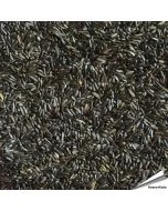 Nigerzaad (Negerzaad, Nyjer) voor vogels ✔️ Voor tuinvogels, exotische vogels, parkieten en kanaries ✔️ Natuurlijke bron van eiwitten en vetten ✔️ Bestel nu direct op Vogelhuisje.com