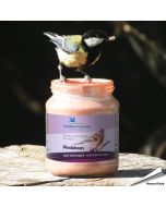 Vogelbescherming pindakaas met bosvruchten in glazen pot