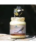 Vogelbescherming pindakaas Original in glazen pot