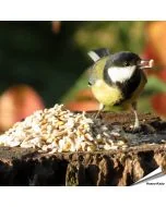 Premium Onkruidvrij vogelvoer - No Mess - No Grow (12.75 kg)