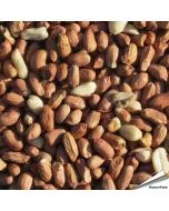 Premium pinda's (2 kg) | Vogelhuisje.com