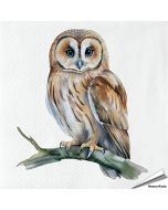 Servetten Uil | 20 stuks | FSC | Vogelhuisje.com