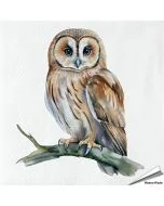 Servetten Uil | 20 stuks | FSC | Vogelhuisje.com