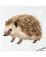 Servetten Egel | 20 stuks | 3-laags | Vogelhuisje.com