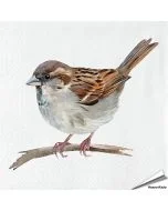 Servetten Huismus | 20 stuks | FSC | Vogelhuisje.com