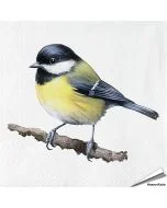 Servetten Koolmees| 20 stuks | FSC & 3-laags | Vogelhuisje.com