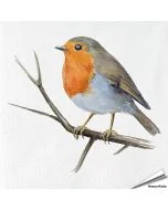 Servetten Roodborst | 20 stuks | FSC | Vogelhuisje.com