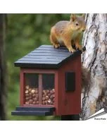 Eekhoorn zit op het Eekhoorn voederhuisje van WildlieGarden