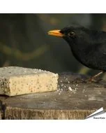 Energieblok van Aniculis met meelwormen (280g)