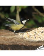 Table Top-Mix met Anijszaad (1 kg)