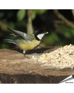 Table Top-Mix met Anijszaad (1 kg)
