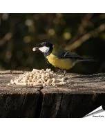 Traktatie met meelwormen voor koolmezen kopen? www.vogelhuisje.com