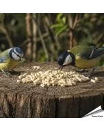 Plantaardige vet pellets vol energie voor tuinvogels ✔️ Ideaal voor het hele jaar door voeren ✔️ Smakelijke traktatie voor roodborstjes en merels ➤ Koop in de Vogelhuisje.com Shop