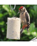 Vogelbescherming pindacake met zaden voor tuinvogels