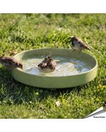 Keramiek vogelbad - Madeliefje | Vorstbestendig | Hoezo-Kado