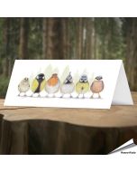 Grappige wenskaart met illustraties van verschillende europese tuinvogels ✔️ Dubbele kaart, met blanco binnenkant ✔️ FSC papier ➤ Bestel op www.vogelhuisje.com