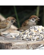 Bio Strooivoer voor tuinvogels (1 kg)