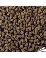 Speciaalvoer voor egels - Graanvrij | 100% natuurlijk | Vogelhuisje.com