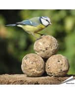 Aniculis Insectenvet-Mezenbollen ✔️ Energie- en eiwitrijke vetbollen zonder net ✔️ Hoog vetgehalte ✔️ Geschikt voor het hele jaar ➤ Bestel online bij Vogelhuisje.com